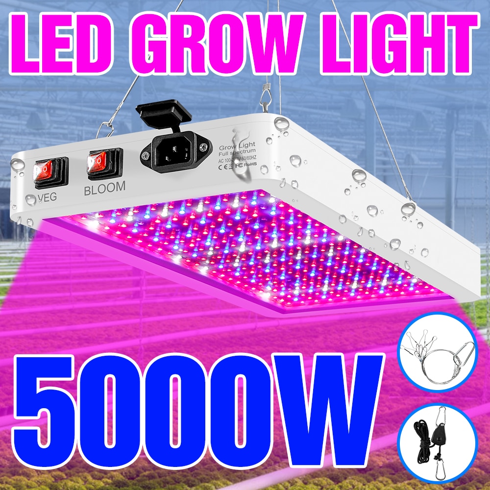 5000W ǳ LED   LED Ĺ   220V ü ..